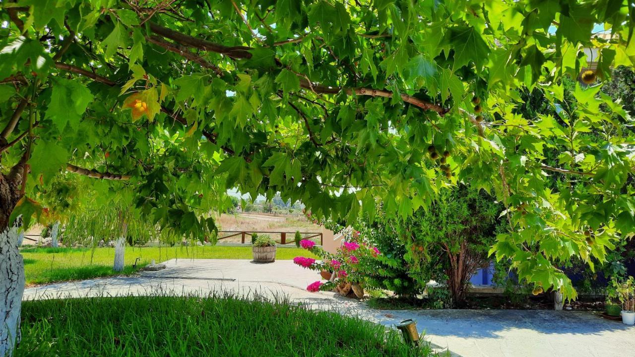 ליקסורי Alekos Beach Houses-Angelo מראה חיצוני תמונה