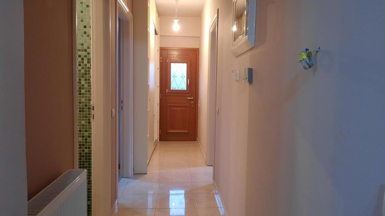 ליקסורי Alekos Beach Houses-Angelo מראה חיצוני תמונה