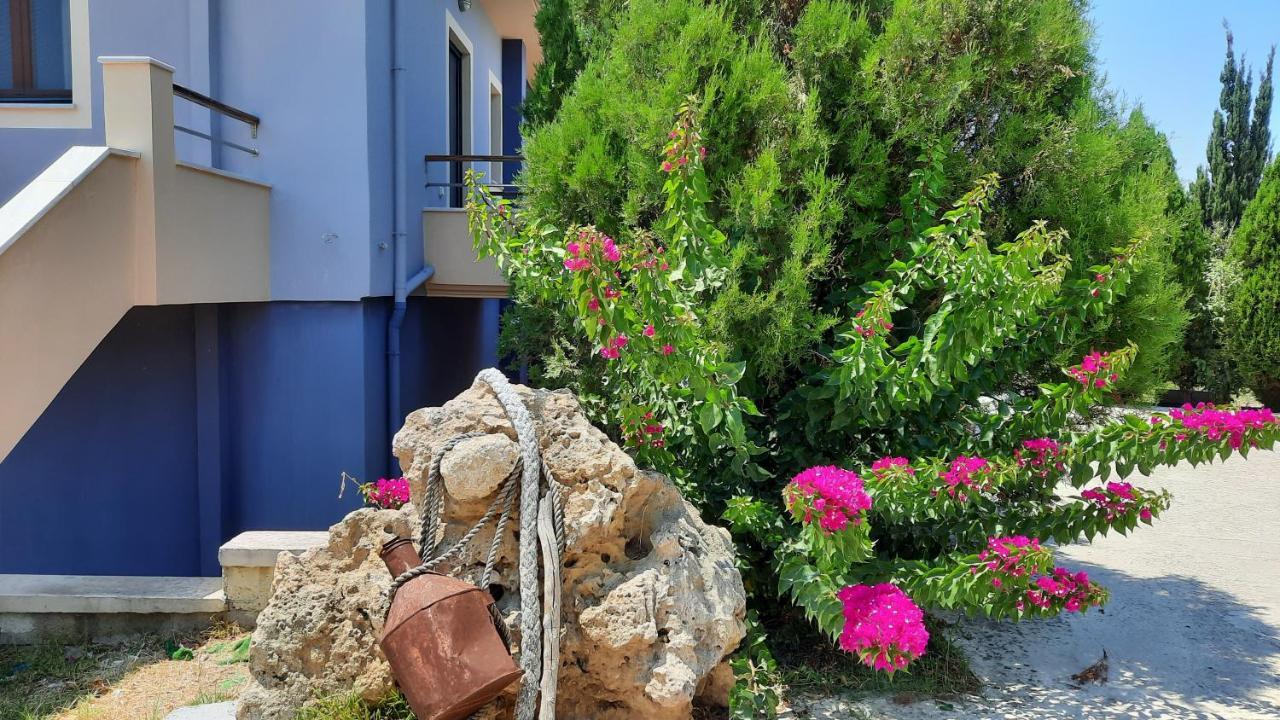 ליקסורי Alekos Beach Houses-Angelo מראה חיצוני תמונה