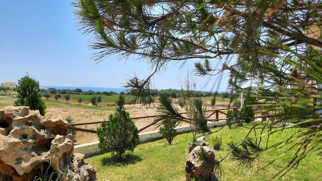 ליקסורי Alekos Beach Houses-Angelo מראה חיצוני תמונה